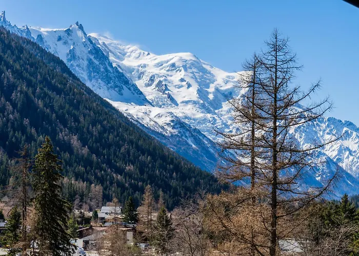 Residence Grand Roc - Ancolies Studio - Happy Rentals Daire Chamonix