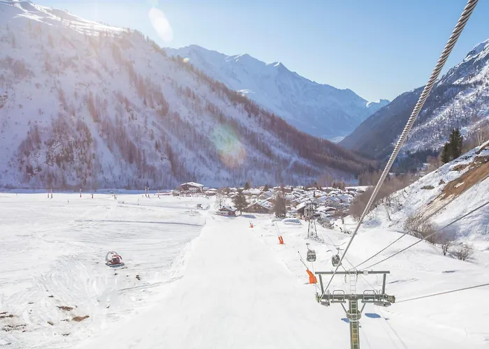 Grand Roc - Ancolies - Happy *