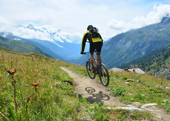 Apartman Grand Roc - Ancolies - Happy