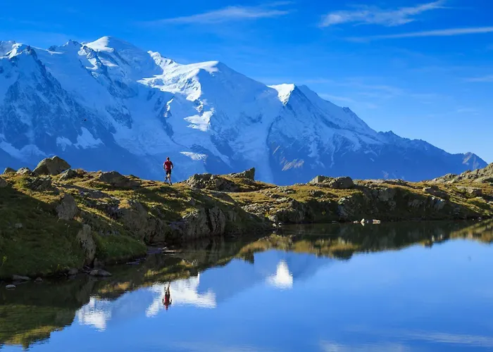 Grand Roc - Ancolies - Happy * Chamonix