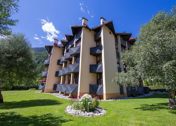 Grand Roc - Ancolies - Happy